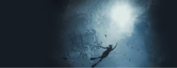 Picture of a diver